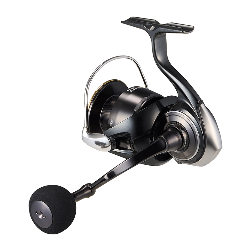 DAIWA 2026 Certate HD Visserij - Daiwa Reel Bg recensie en prijs